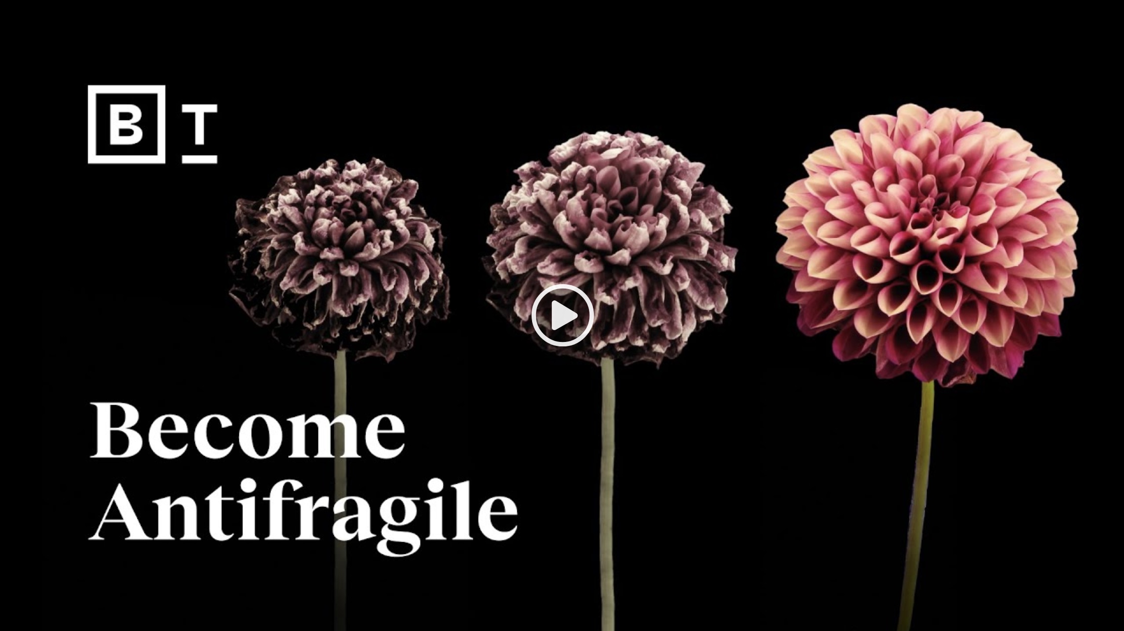 Become Antifragile - video on YouTube
